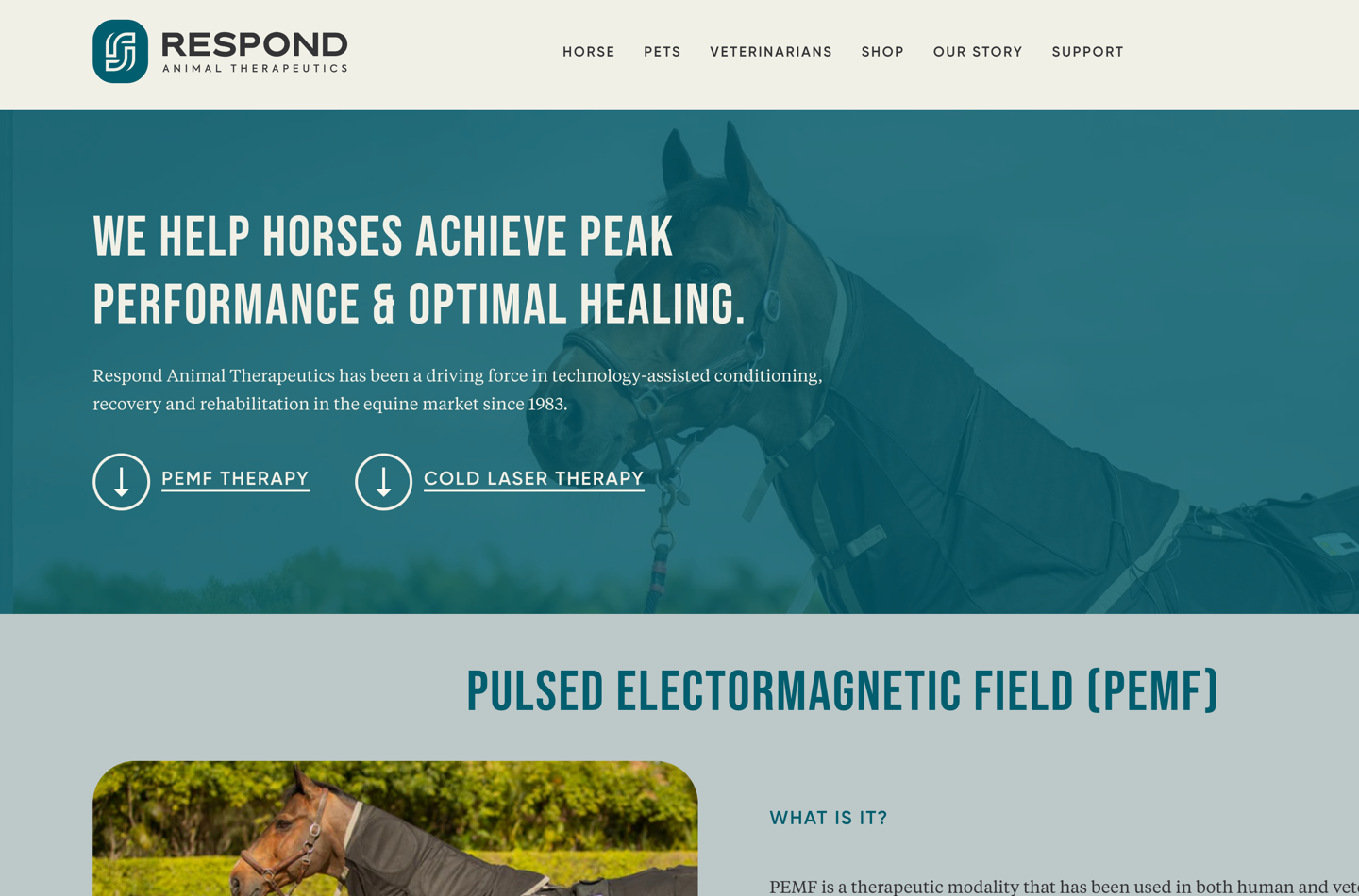 screenshot of Respond website showcasing custom product detail page